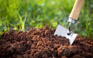 اثرات مثبت کود آمینو اسید بر حاصلخیزی خاک