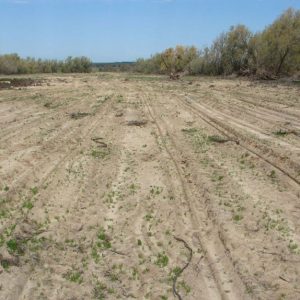 اصلاح خاک و استفاده از کود کشاورزی در مورد خاک های شور