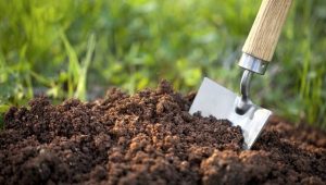 چگونگی تنظیم PH خاک و اهمیت آن