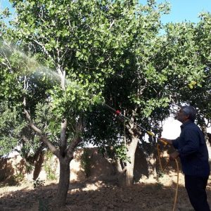 استفاده از صابون محلول پاشی در مناطق غبارآلود امری ضروری است