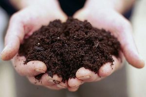 استفاده از روش های نوین آبیاری باعث می شود نیازی به رفع شوری خاک وجود نداشته باشد
