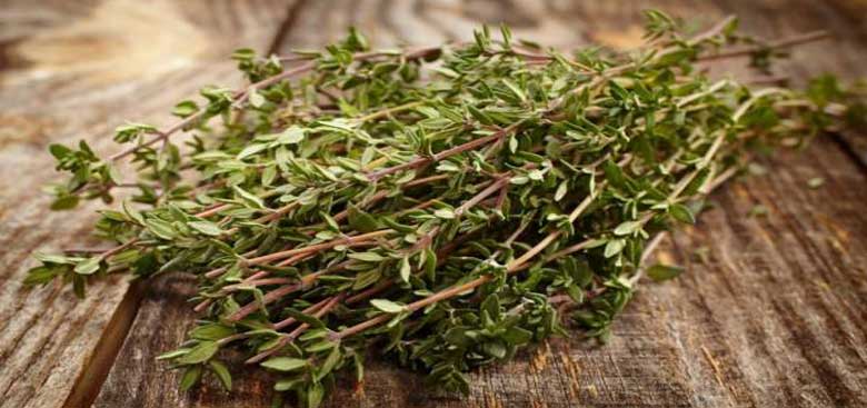 مزایای کاشت آویشن